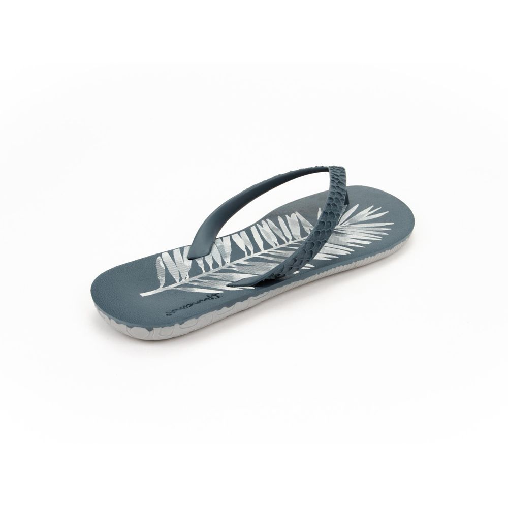 Tongs Ipanema RJ Grey/Blue Homme | PESF-08604775