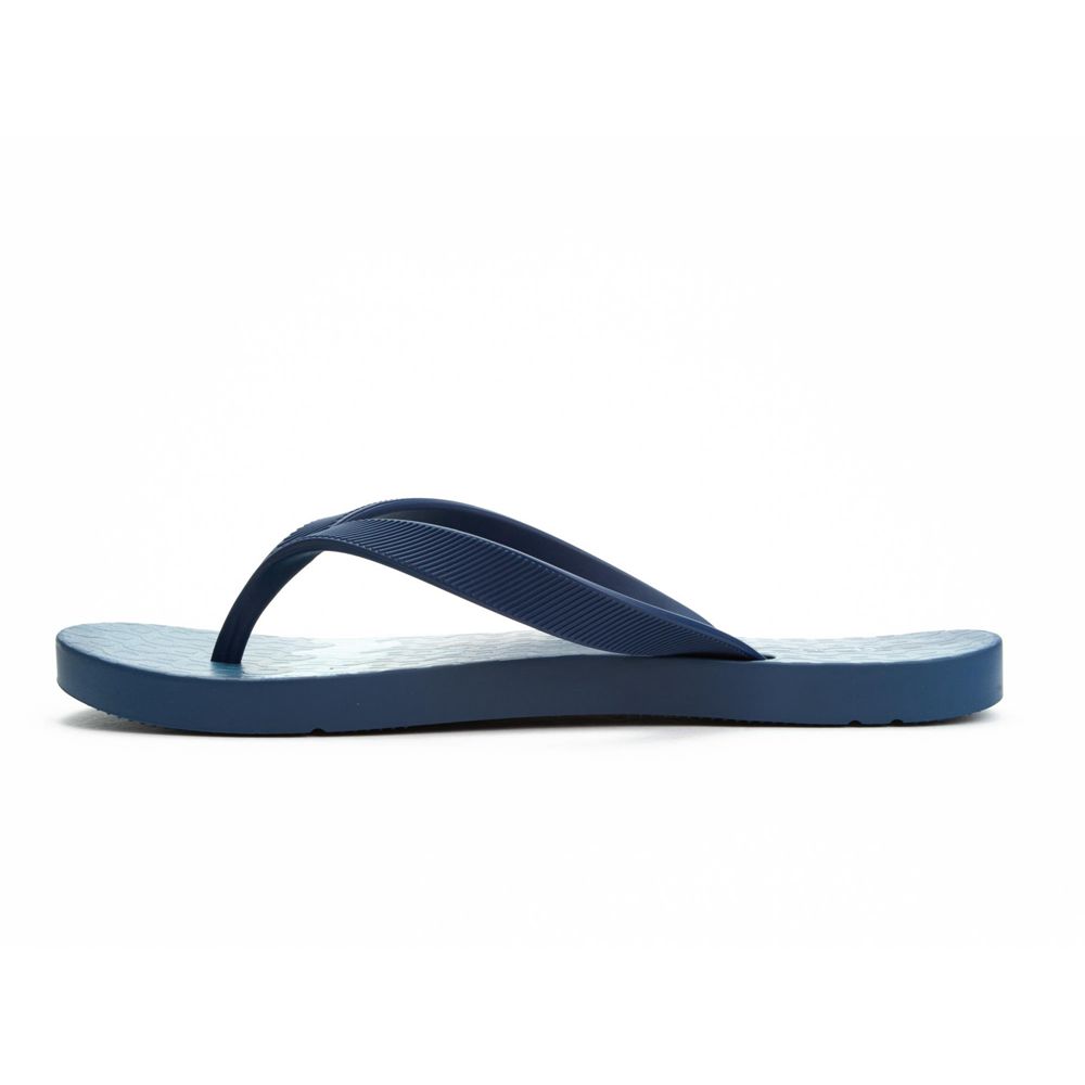 Tongs Ipanema Arpo Wave Blue/Blue Homme | JFHT-13204504