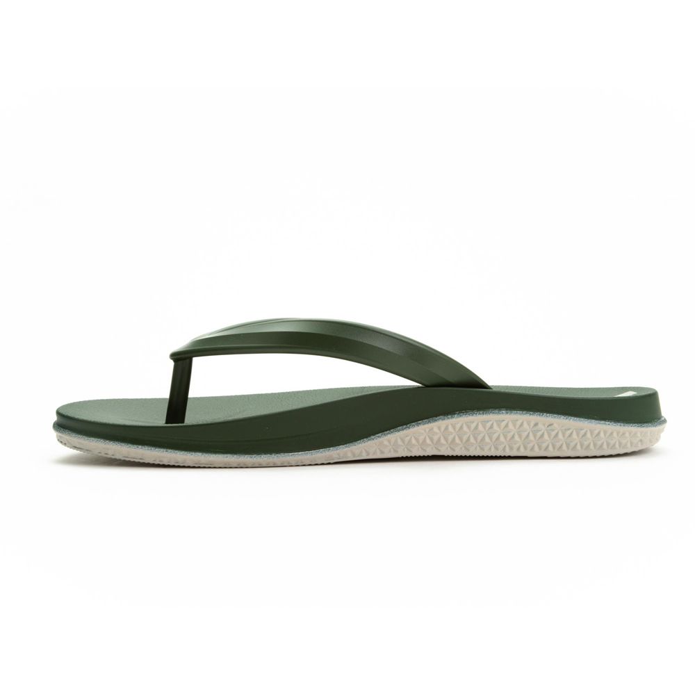 Tongs Ipanema Ana Lapa Beige/Green Homme | OHEG-83660555