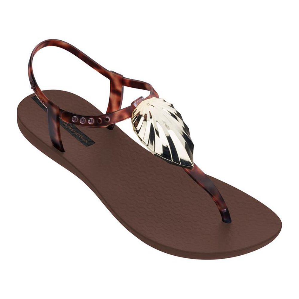 Sandales Ipanema Leaf Brown/Clear Femme | GLID-40768735