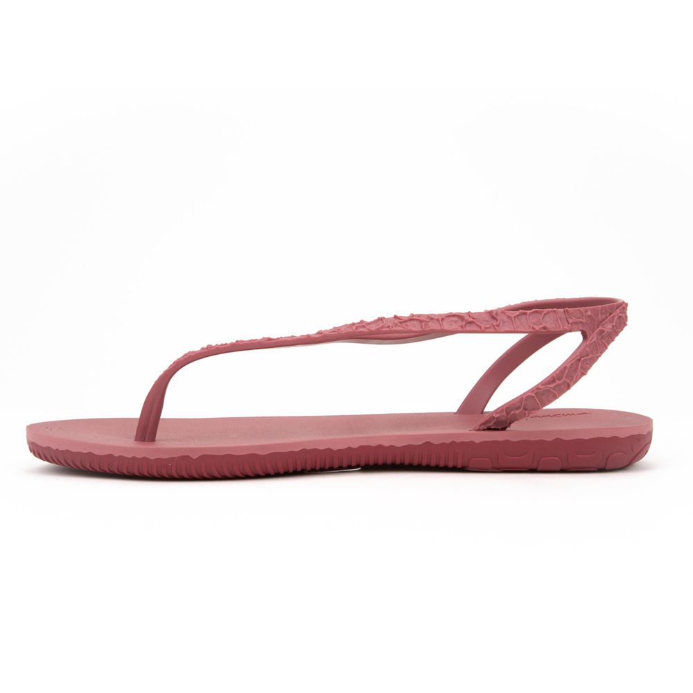 Sandales Ipanema Jo Burgundy/Burgundy Femme | CDRZ-32263991