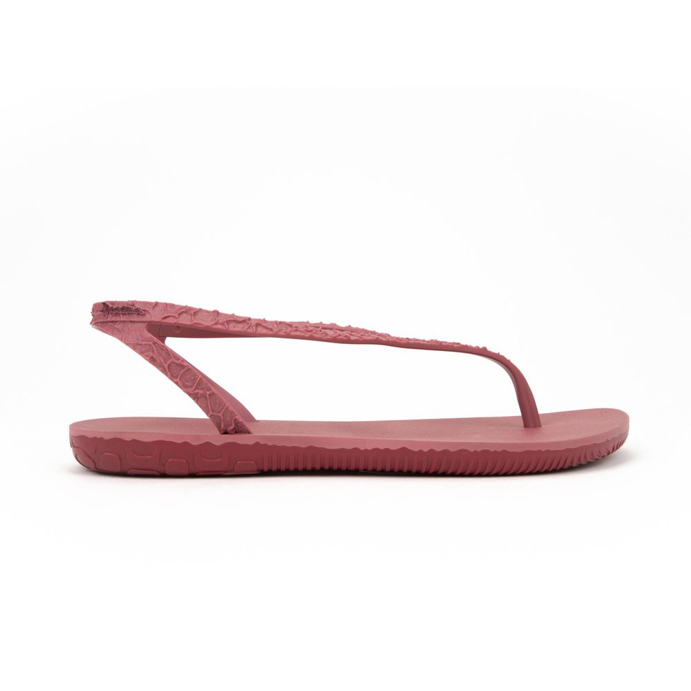 Sandales Ipanema Jo Burgundy/Burgundy Femme | CDRZ-32263991