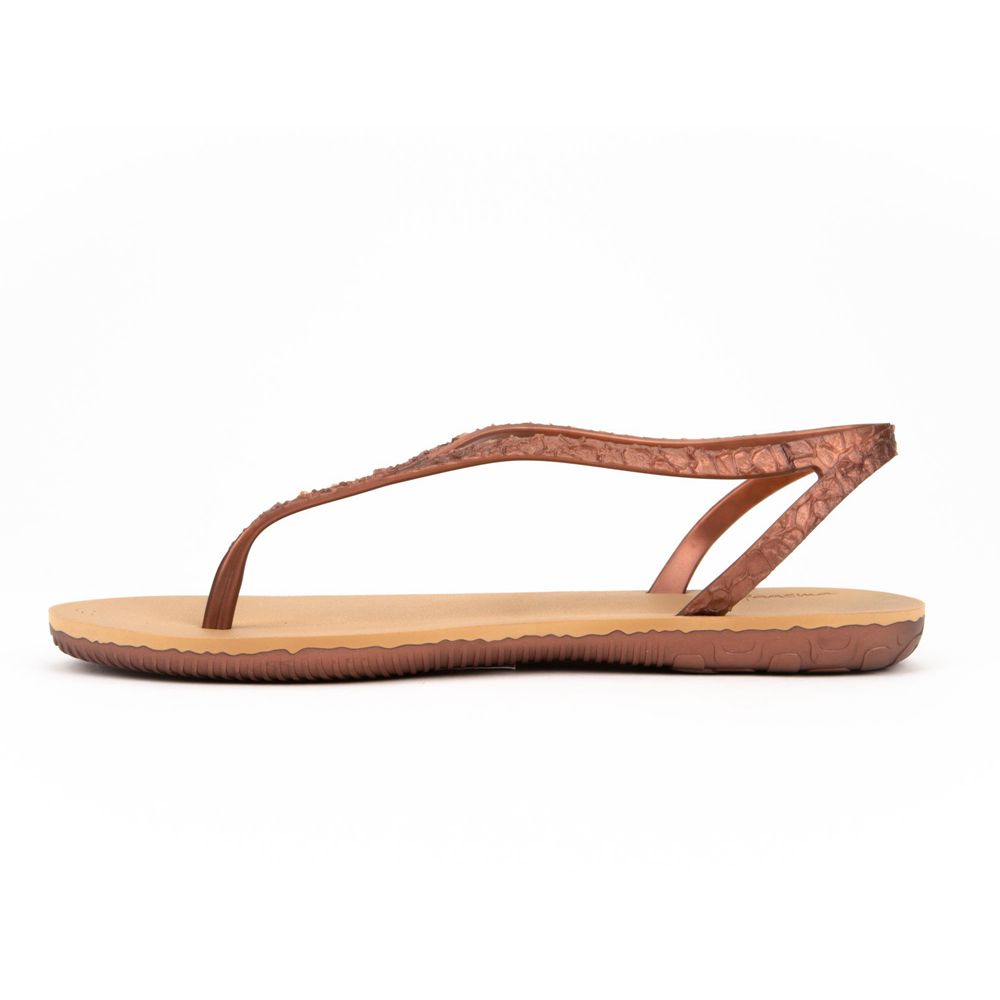 Sandales Ipanema Jo Beige/Bronze Femme | OMBL-06025103