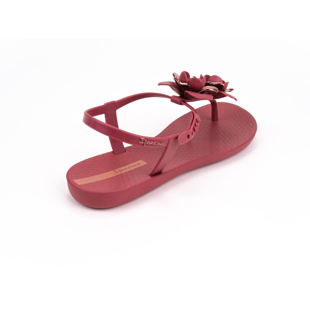 Sandales Ipanema Floret Burgundy/Rose Femme | QOGY-63311756